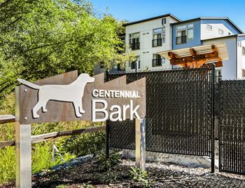 Dog park
